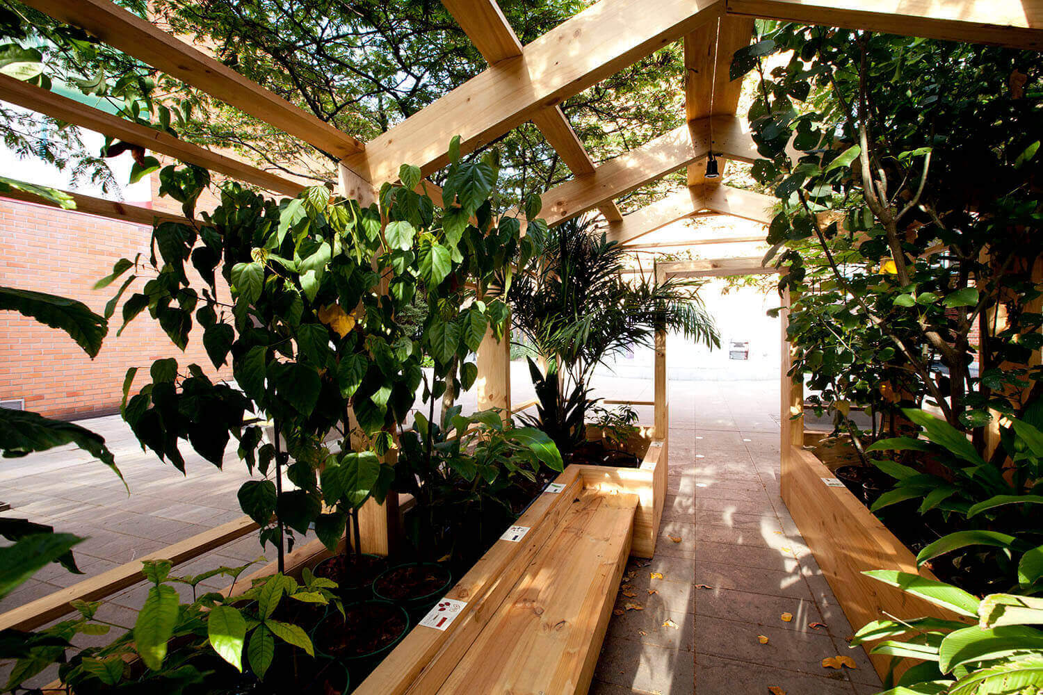 3 ESTUDIO jardin SLIDER H IMG_8359.jpg